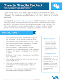 Character Strengths Feedback for the Workplace