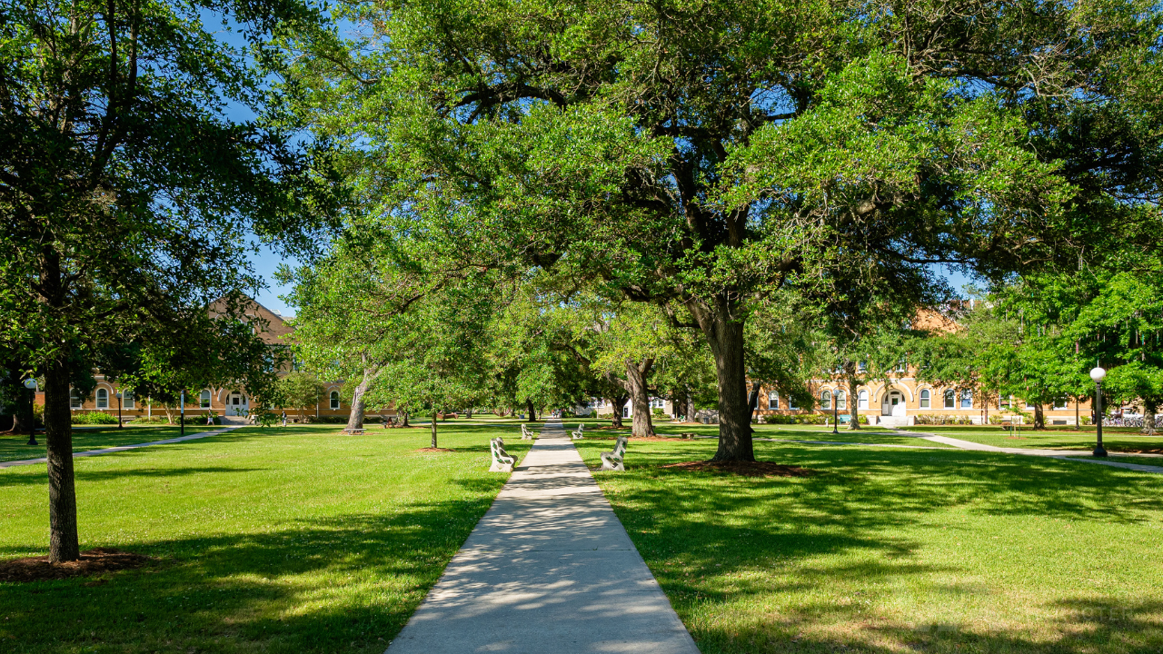 Case Study, Campus, University