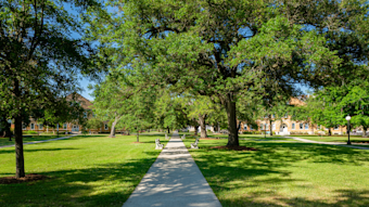 Case Study, Campus, University